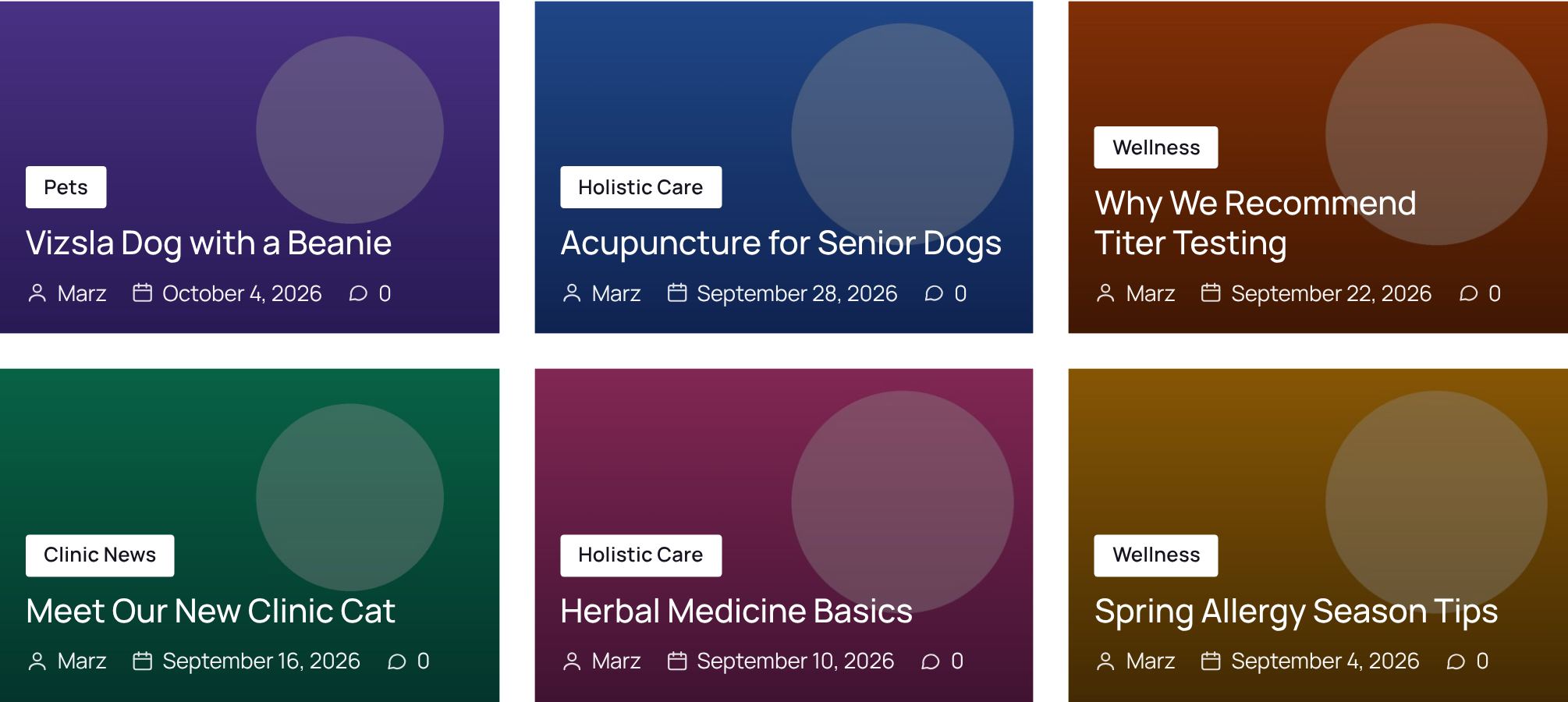 A magazine-style grid of posts with category badges and author, date and comment icons