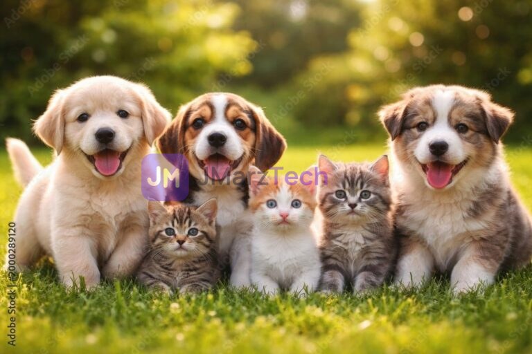 Puppies and Kittens in a field
