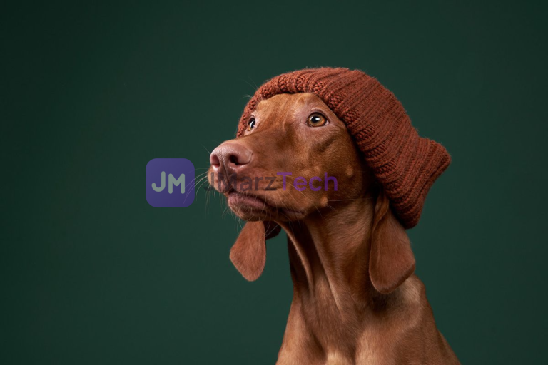 Vizsla Dog with a Beanie