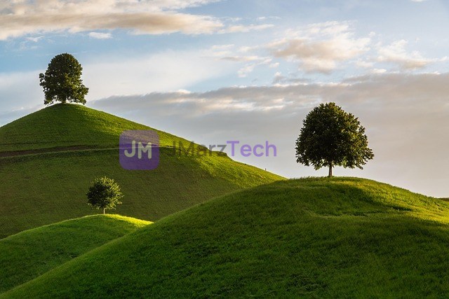 Rolling Green Hills and Trees