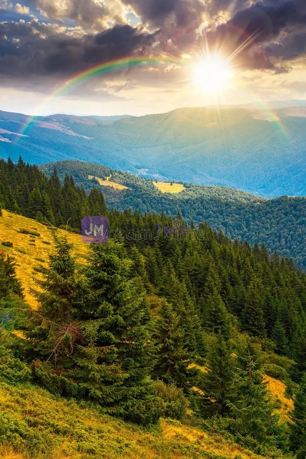 Sun over forest and mountain range