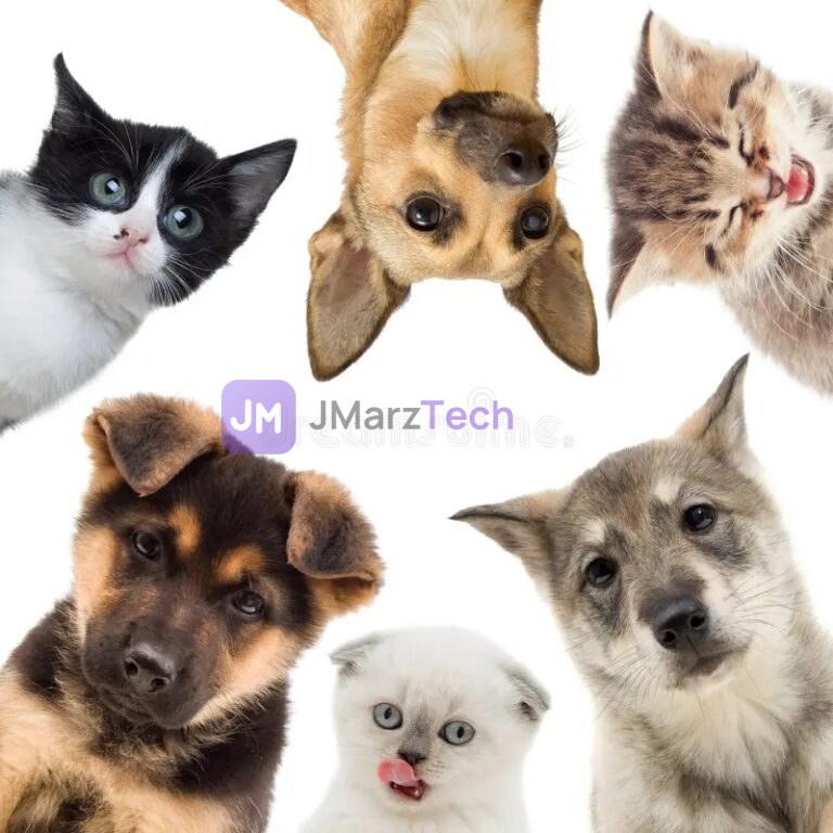 Collage of Dogs and Cats