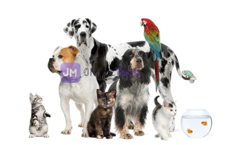 Multiple pets