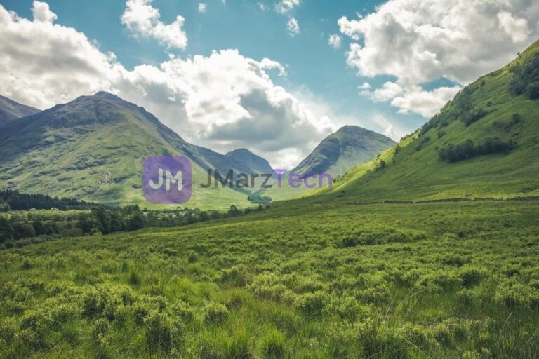 Field with mountain backdrop
